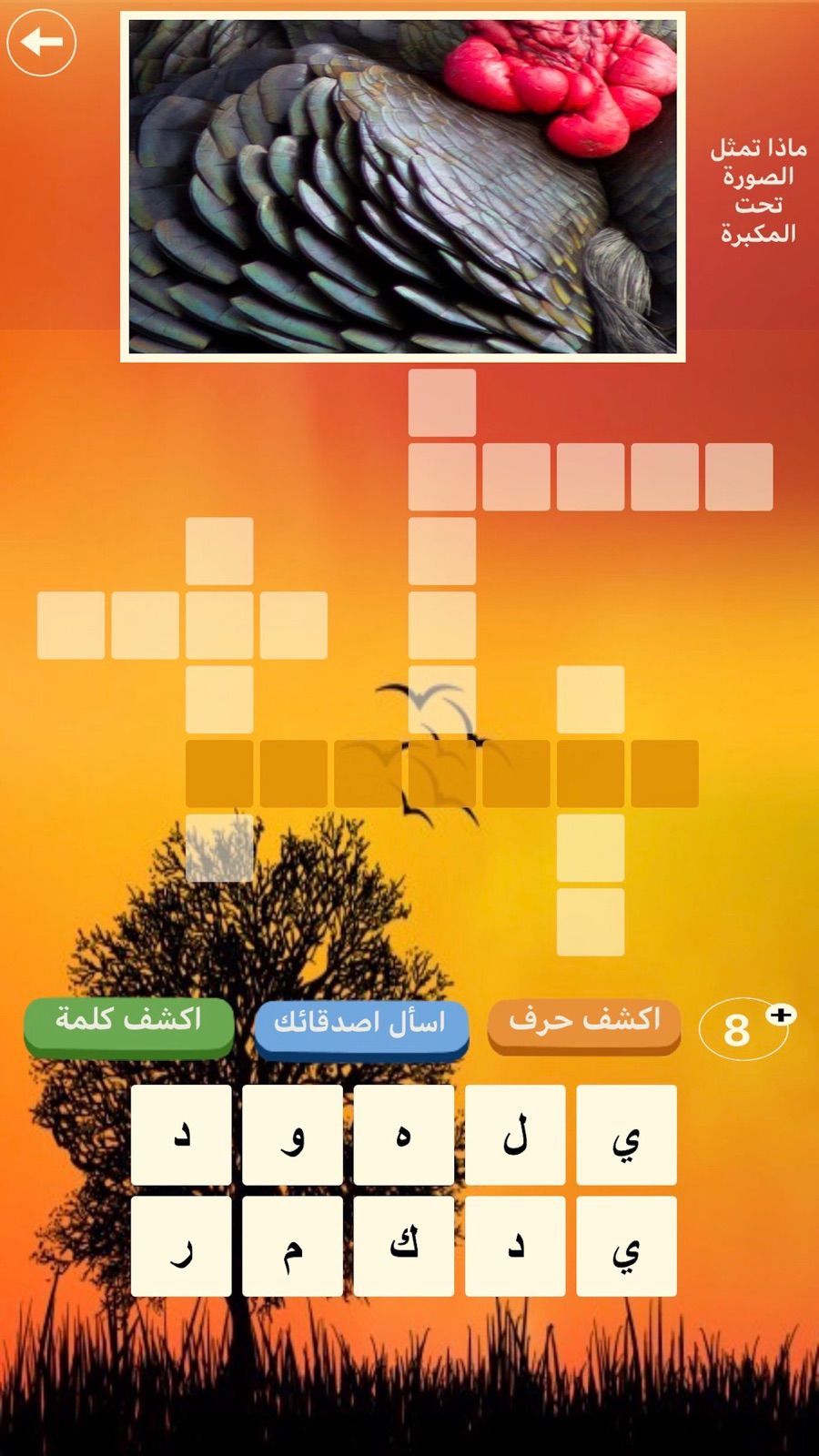 Riddles Marathon — Screenshot 8 of 9